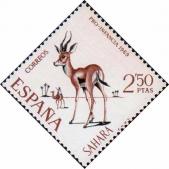 Газель-доркас (Gazella dorcas)