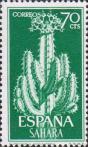 Молочай кактусовидный (Euphorbia resinifera)