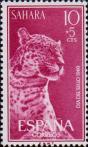 Леопард (Panthera Pardus)