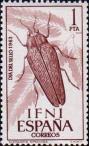 Златка  (Steraspis speciosa)