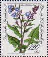 Цицербита альпийская (Cicerbita alpina)