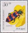 Пестряк пчелиный (Trichodes apiarius), лютик ползучий (Ranunculus repens)