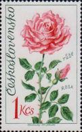 Роза (Rosa damascena)
