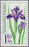 Ирис германский (Iris germanic)