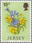 Нарцисс жёлтый (Narcissus pseudonarcissus) и ирис германский (Iris germanica)