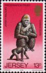 Западная равнинная горилла (Gorilla gorilla gorilla)