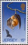 Родригесская летучая лисица (Pteropus rodricensis)