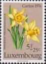 Нарцисс ложный (Narcissus pseudonarcissus)