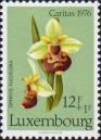 Офрис паучковый (Ophrys fuciflora)