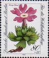 Первоцвет маленький (Primula minima)