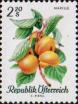 Абрикос обыкновенный (Prunus armeniaca)