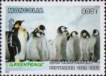 Пингвин Адели (Pygoscelis adeliae)