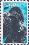Горная горилла (Gorilla beringei beringei)