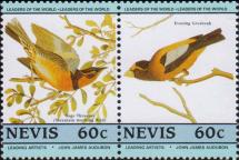 Изменчивый дрозд (Ixoreus naevius)