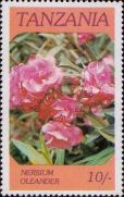 Олеандр обыкновенный (Nerium oleander)