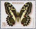 (Papilio demodocus)