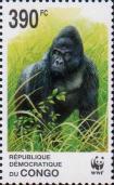 Восточная равнинная горилла (Gorilla beringei graueri)