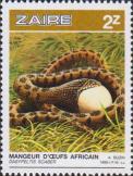 Африканская яичная змея (Dasypeltis scabra)