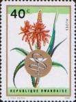 Алоэ барбадосское (Aloe barbadensis)