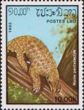 Китайский ящер (Manis pentadactyla)
