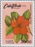 Гибискус китайский (Hibiscus rosa-sinensis)