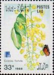 Данаида хризипп (Danaus chrysippus) и кассия трубчатая (Cassia fistula)
