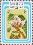 Максиллярия Сандера (Maxillaria sanderiana)