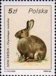 Дикий кролик (Oryctolagus cuniculus)