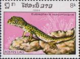 Пятнистый леопардовый эублефар (Eublepharis macularius)