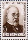 Роберт Кох (1843-1910), немецкий врач и микробиолог