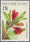 Дендробиум (Dendrobium vexillarius)