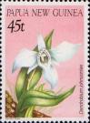 Дендробиум (Dendrobium johnsoniae)