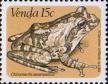 Восточноафриканская хватающая лягушка (Chiromantis xerampelina)