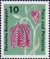 Рябчик шахматный (Fritillaria meleagris)
