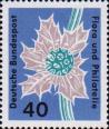Синеголовник приморский (Eryngium maritimum)