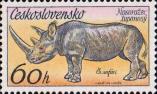 Чёрный носорог (Diceros bicornis)