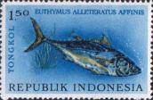 Малый восточный тунец (Euthynnus affinis)