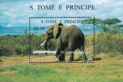 Саванный слон (Loxodanta africana)