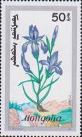 Ирис сибирский (Iris sibrica)