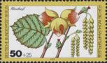 Лещина обыкновенная (Corylus avellana)