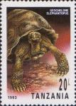 Гигантская слоновая черепаха (Geochelone elephantopus)