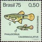 Гирардинус пятнистохвостый (Phalloceros caudimaculatus)