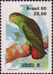Черноспинный пестрохвостый попугай (Touit melanonotus)