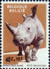 Белый носорог (Ceratotherium simum)
