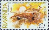 Лев (Panthera leo), импала (Aepyceros melampus)