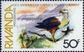 Орлан-крикун (Haliaeetus vocifer)
