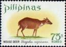 Канчиль филиппинский (Tragulus nigricans)