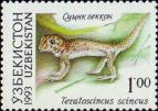 Сцинковый геккон (Teratoscincus scincus)