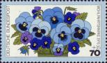 Фиалка трёхцветная (Viola tricolor)