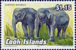 Азиатский слон (Elephas maximus)